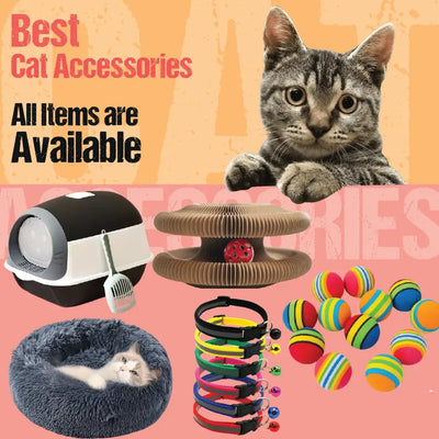 Cat Accessories