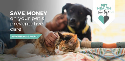 Pet Treatment