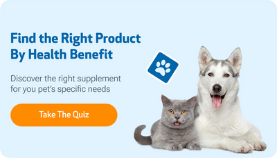 Pet Health & Wellness
