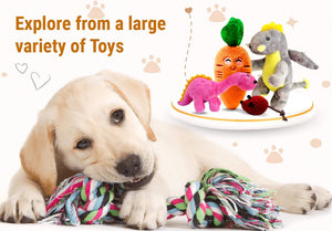 PET TOYS