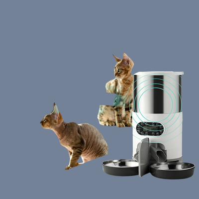 Automatic chqiue pet feeder